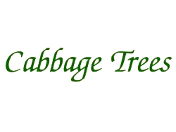 Associado ABUP - CABBAGE TREES