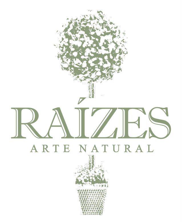 Associado ABUP - RAÍZES ARRANJOS